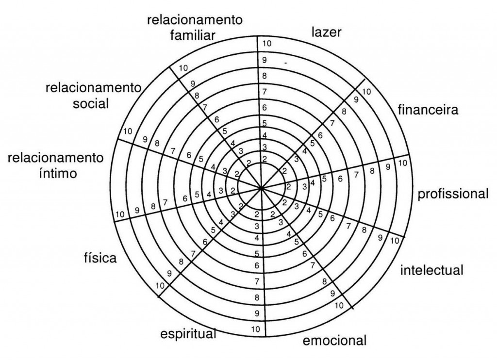 RODA DA VIDA